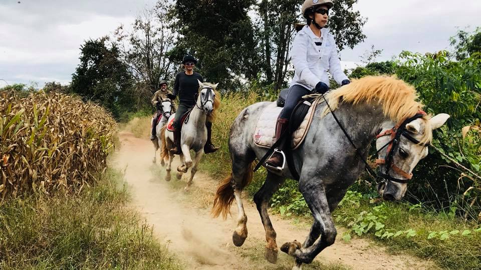 Horse-riding-Thailand-Bangkok-Khaoyai