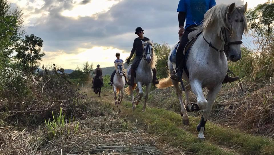 Horse-Riding-Thailand-Bangkok-Khaoyai