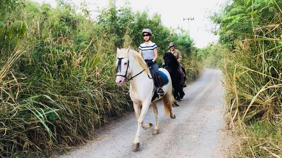 Thailand-horse-riding-sunset