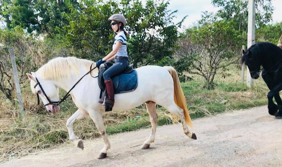 Thailand-Khaoyai-horse-riding