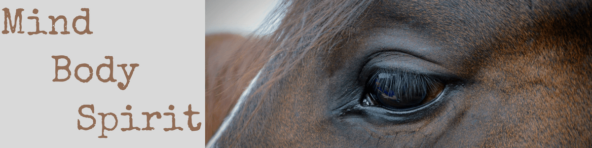 Horse-Riding-Thailand by Ride Journey