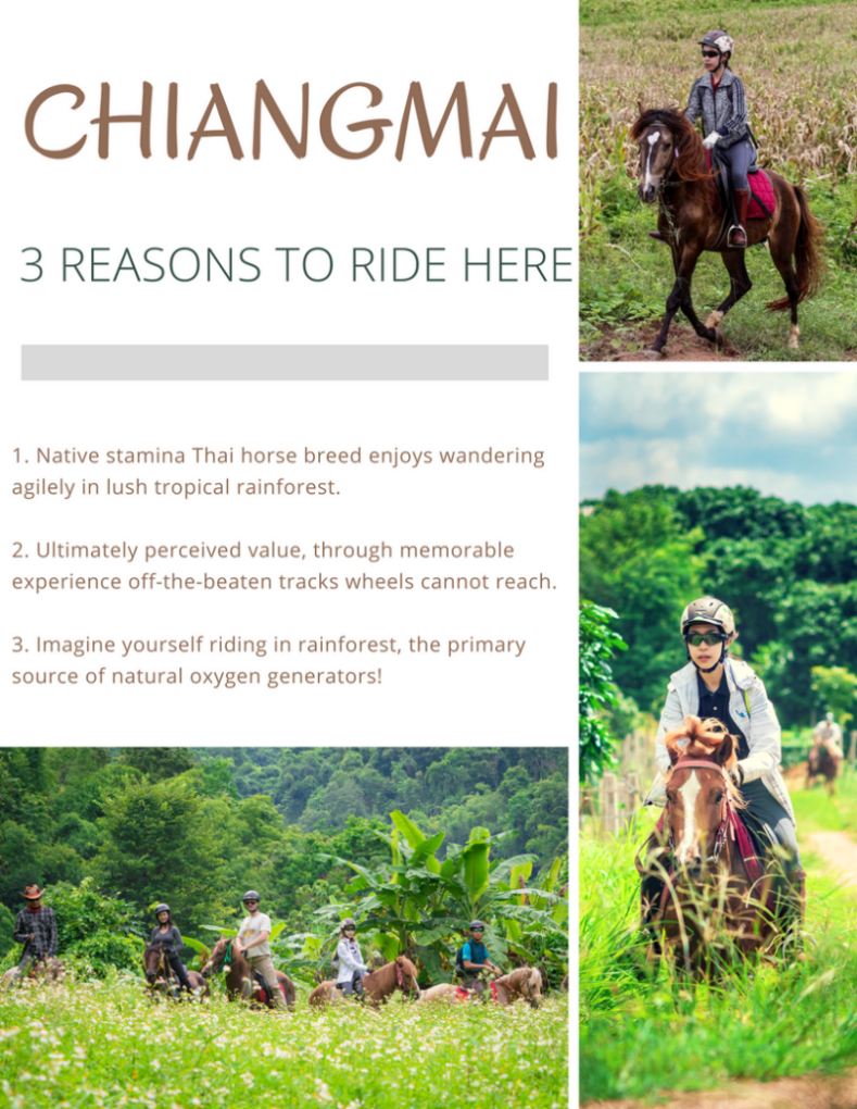 horse-riding-chiangmai-Thailand.png