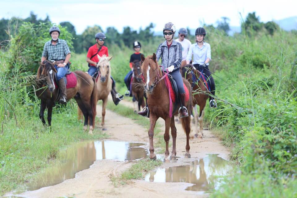 1 Am Riding Serene Temple Ride – Half Day (Morning)