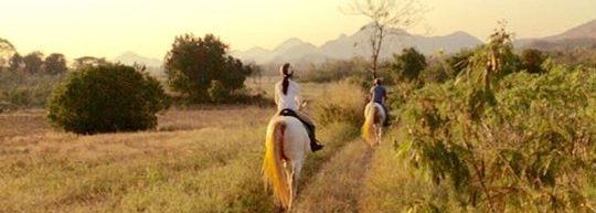 Horse-Riding-Thailand-Bangkok-Khaoyai