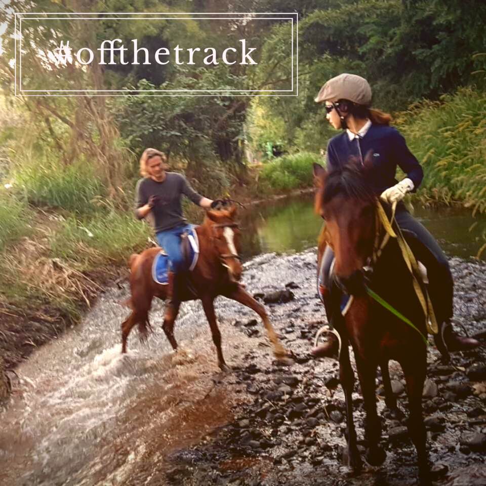Tropical Riding Tropical Rainforest Ride β 2 Days 1 Night