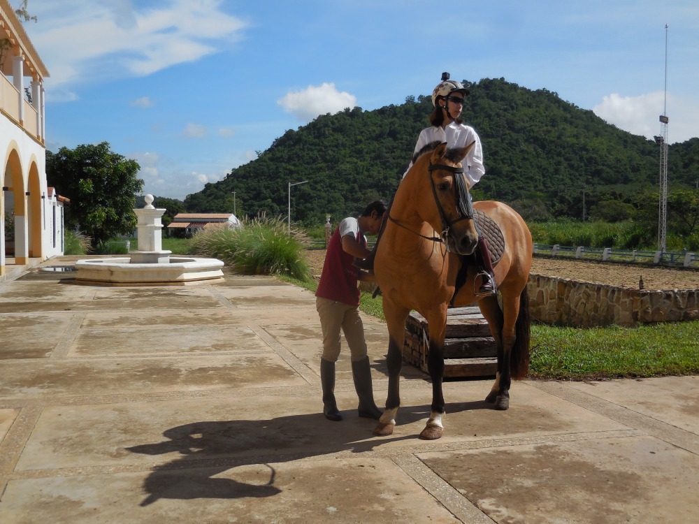 Horse-Riding-Thailand-Bangkok-Khaoyai-1.jpg