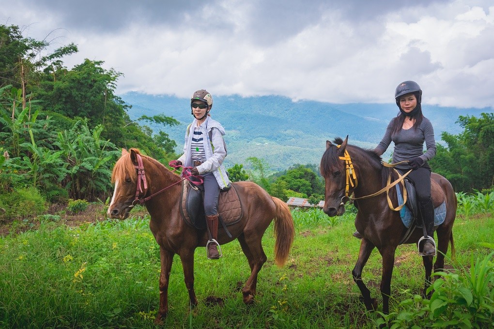 Horse-Riding-Thailand-Tour Horse-Riding-Thailand-Tour
