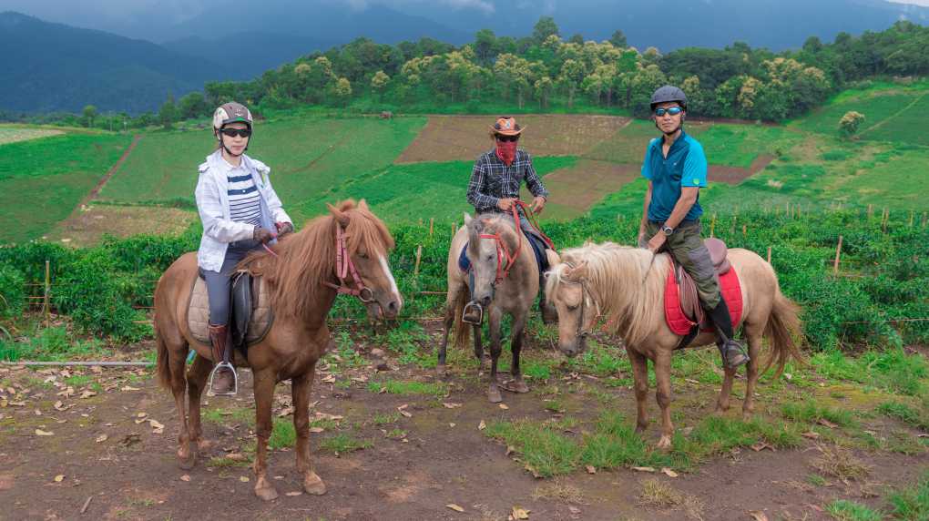 Thailand Horse Riding