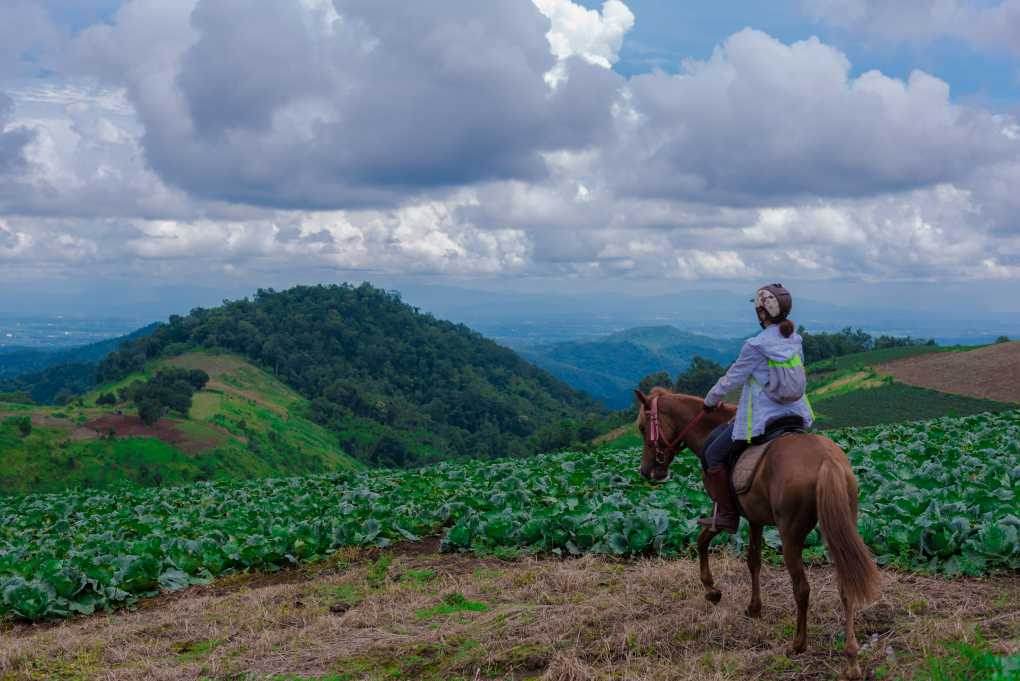 Thailand Horse Riding