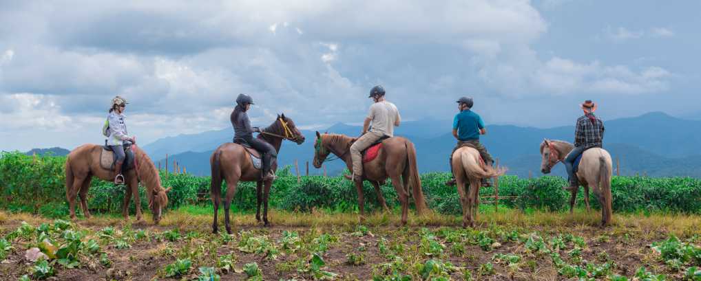 Thailand Horse Riding Private Tour