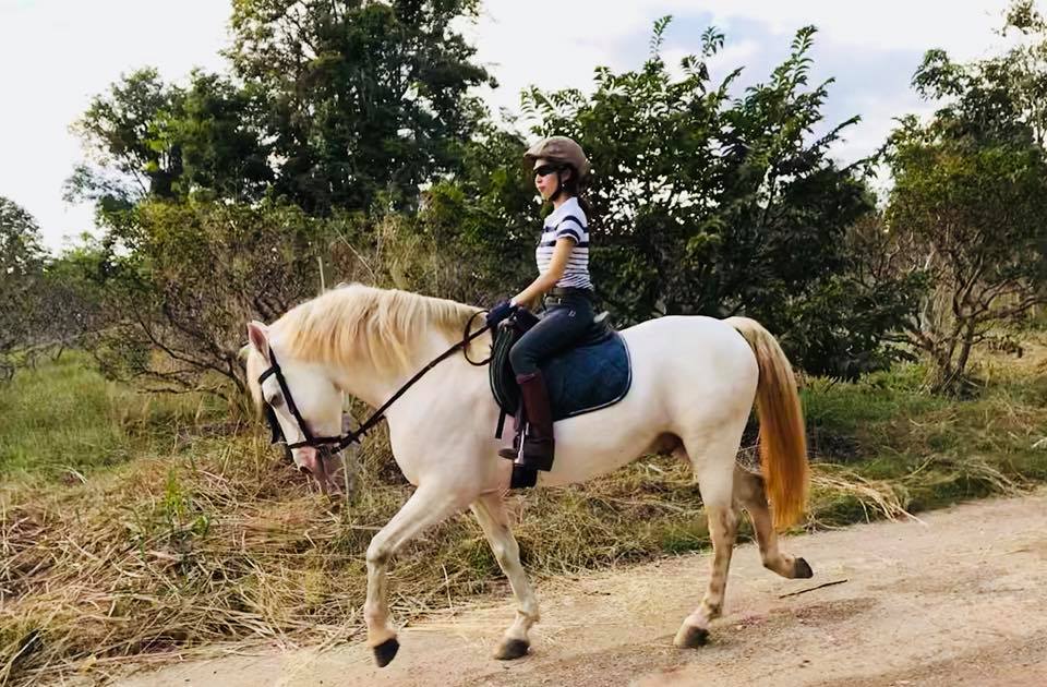 horse-riding-Thailand-Bangkok-Khaoyai