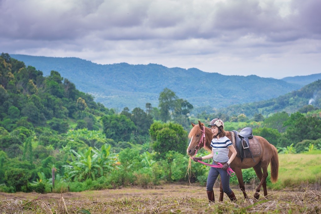 Horse-Riding-Thailand