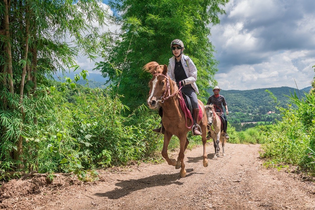 Horse-Riding-Thailand-Chiangmai-Tour Horse-Riding-Thailand-Tour-Chiangmai