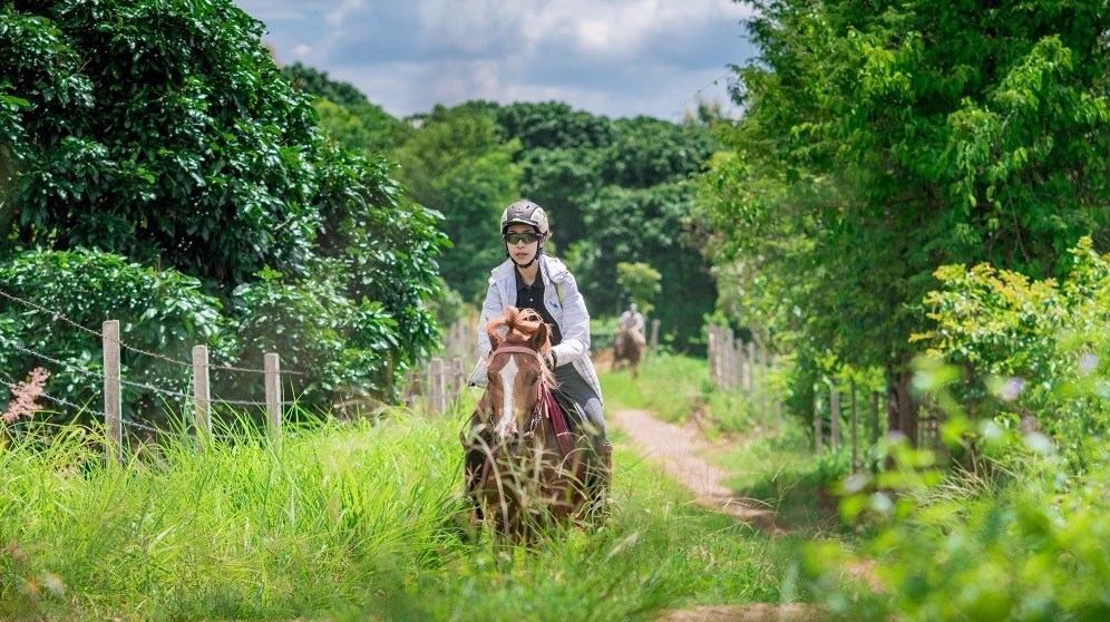Horse-Riding-Thailand-Trail