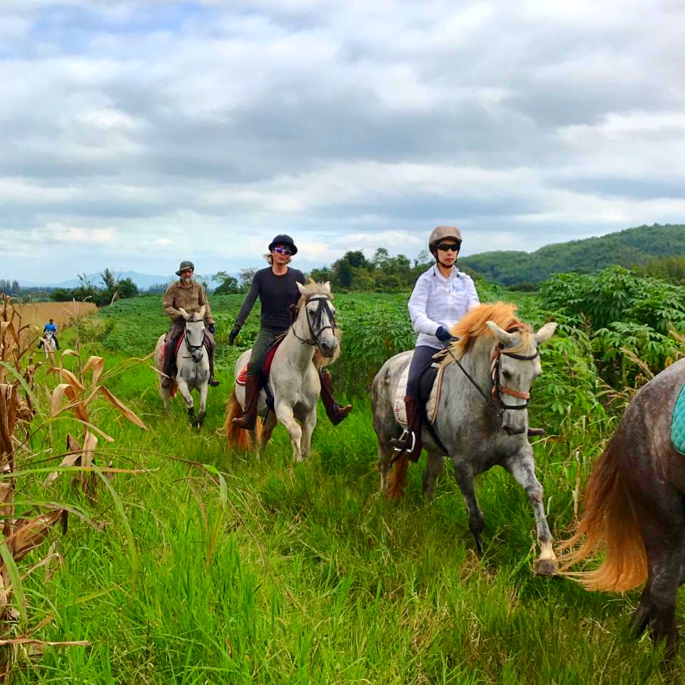 Horse-Riding-Thailand-Bangkok-Khaoyai-10