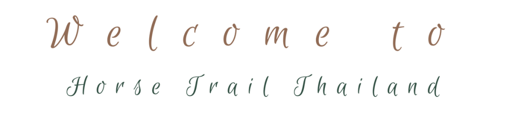 Horse-Riding-Thailand