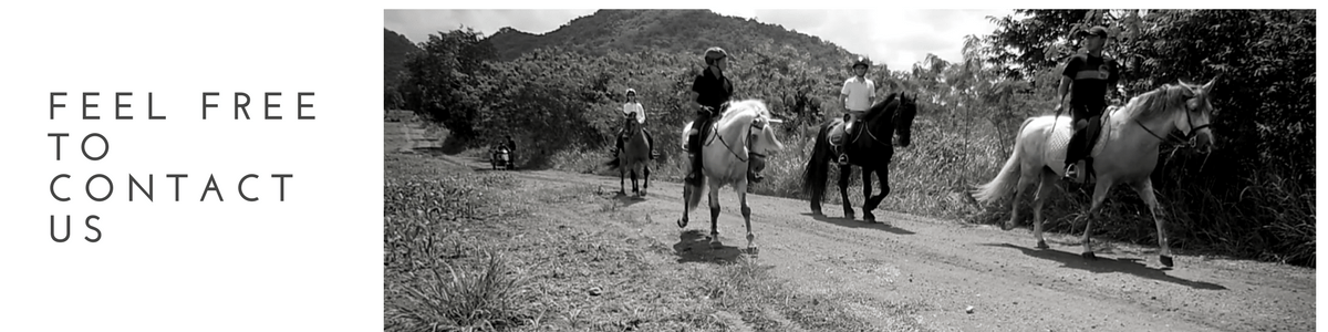 Horse-riding-Thailand