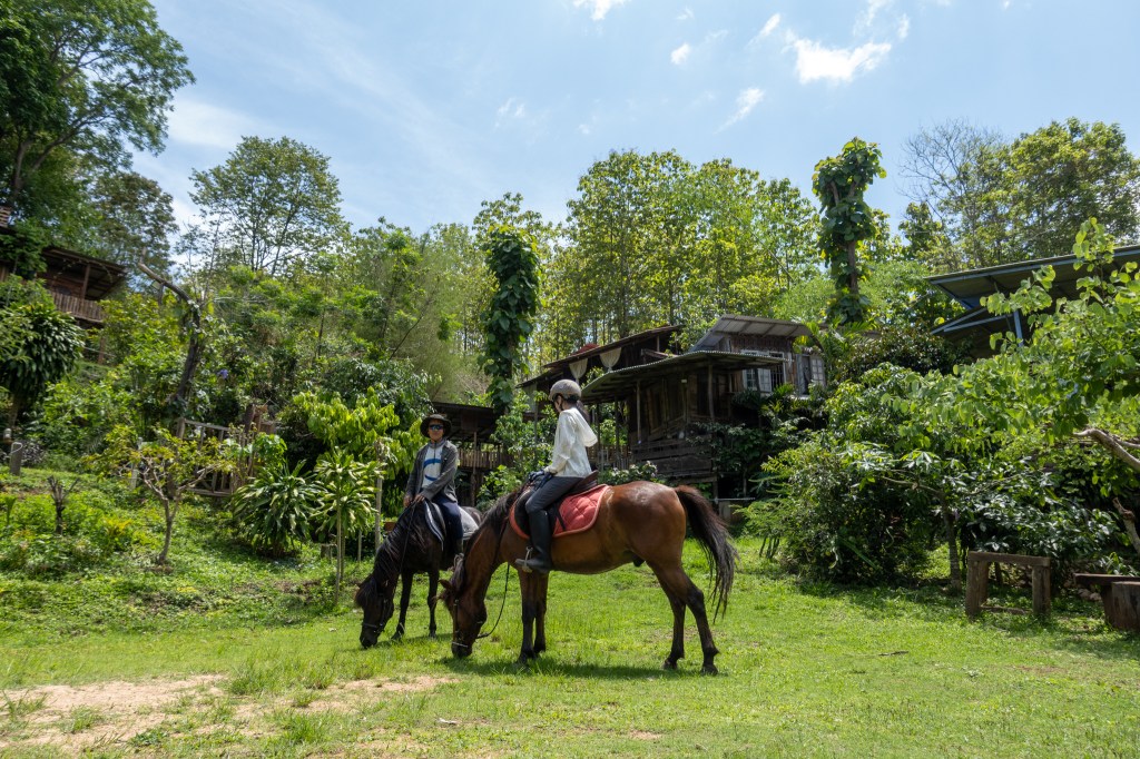 Horse-riding-chiangmai-thailand